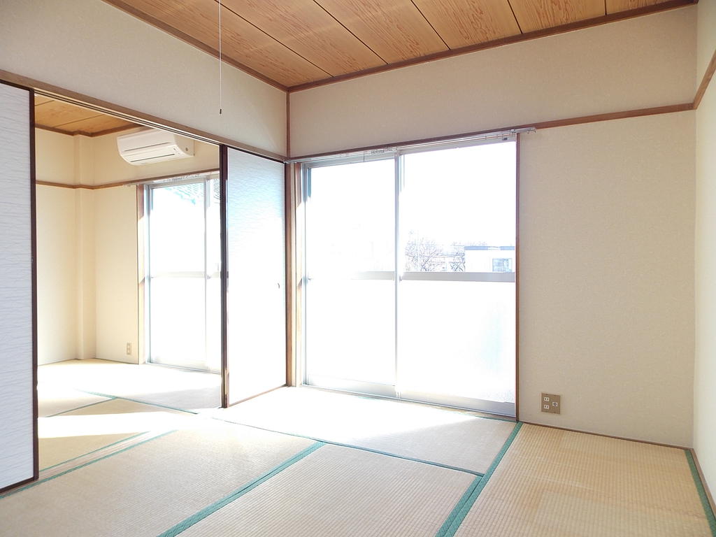 Living and room. Bright room