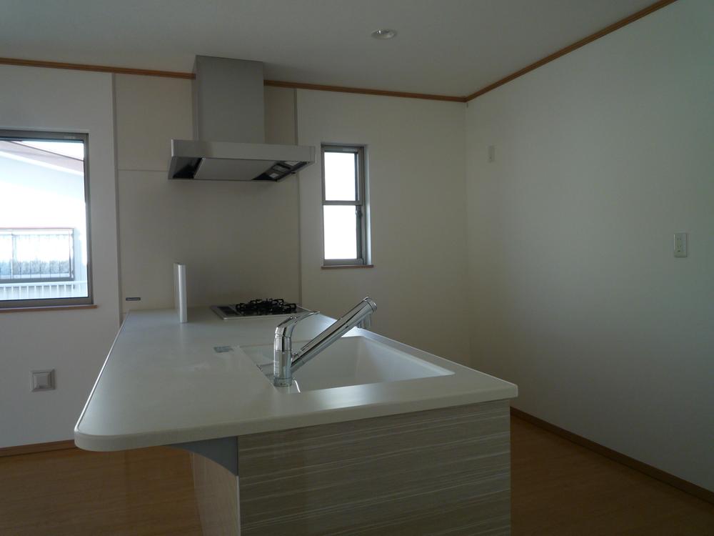 Kitchen. Indoor (11 May 2013) Shooting