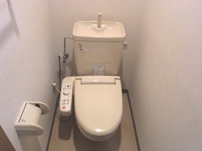 Toilet. With washlet