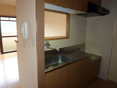 Kitchen. The entire kitchen