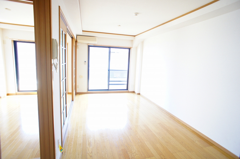 Living and room. Bright living room