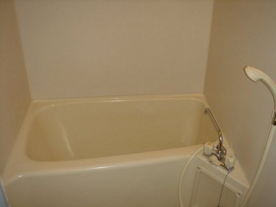 Bath. Please loosen the fatigue of a day in the bathroom. 