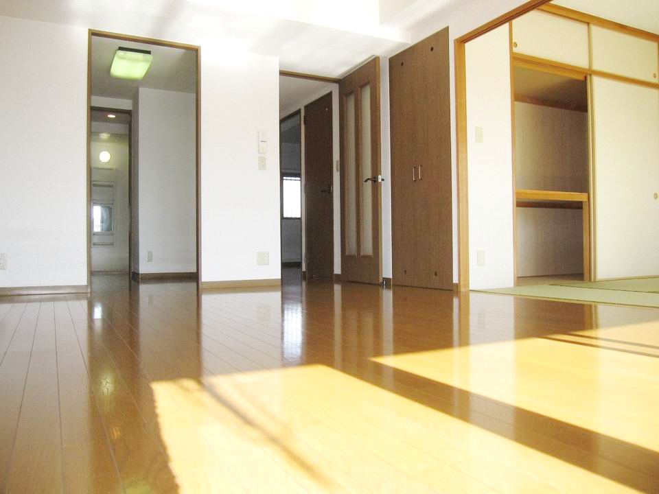 Living and room. Living