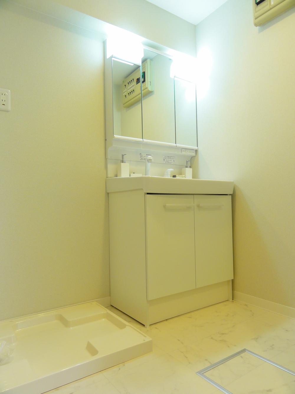 Wash basin, toilet. Vanity shower faucet