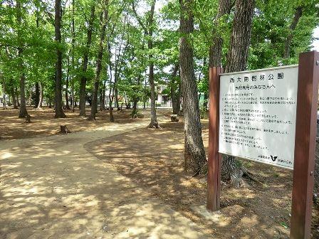 Streets around. Enhancement of the surrounding environment
