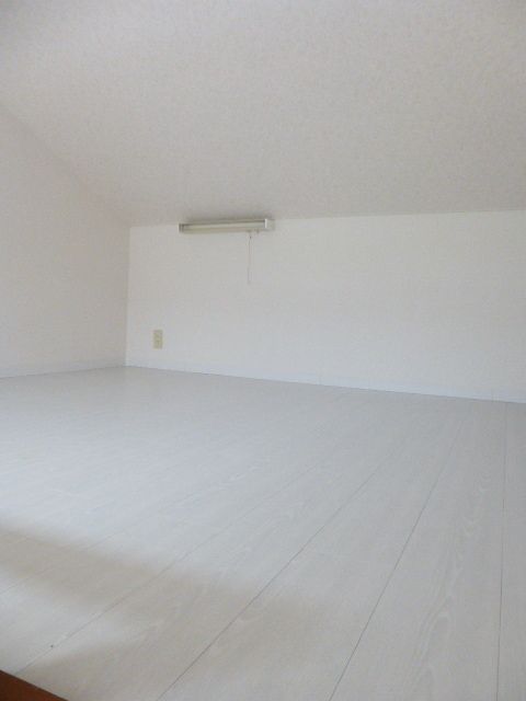 Other room space. It is a kitchen with electric stove.