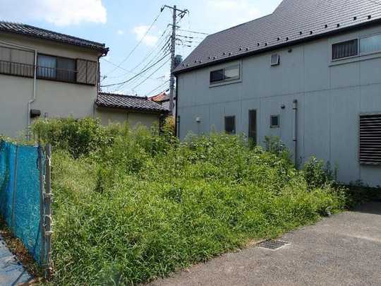 Local land photo. local