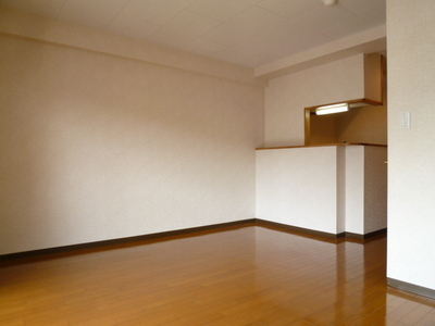 Other room space. ☆ Counter Kitchen ☆