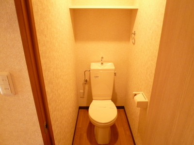 Toilet. ☆ Clean toilets ☆