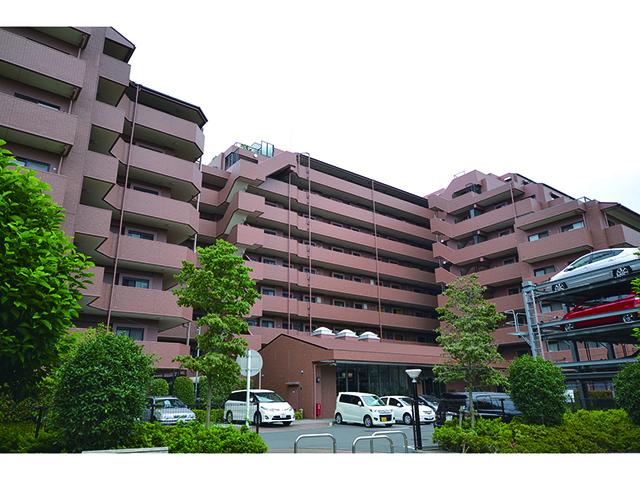 Local appearance photo. Local (July 2013) Shooting