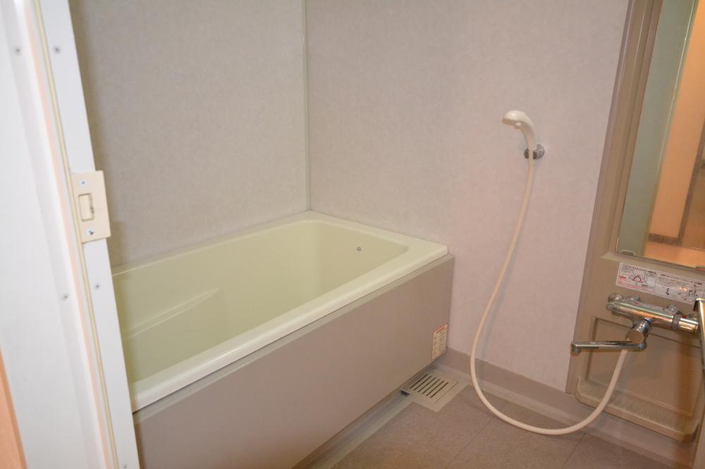 Bathroom. Indoor (10 May 2013) Shooting