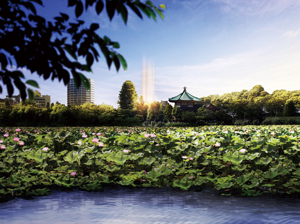 Surrounding environment. "Ueno Park" Shinobazunoike (about 430m ・ 6-minute walk) ※ Published photograph of CG synthesis such as the lotus flower was taken in May 2013 ・ In fact a somewhat different in what was processed.