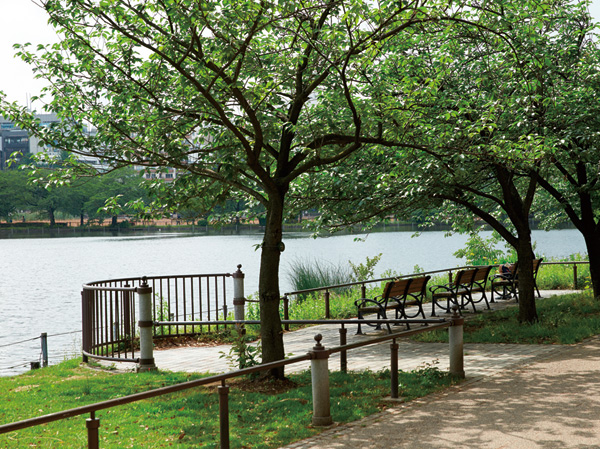 Surrounding environment. "Ueno Park" Shinobazunoike (about 430m ・ 6-minute walk)
