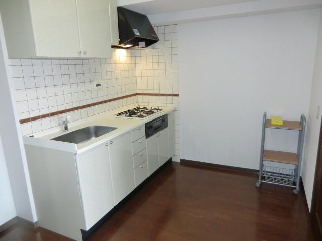 Kitchen. Indoor (July 2013) Shooting