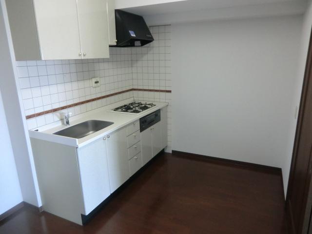 Kitchen. Indoor (10 May 2013) Shooting