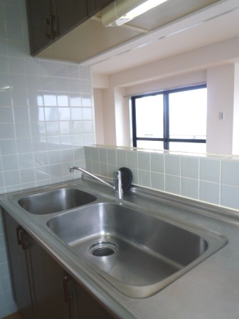 Kitchen. Face-to-face kitchen