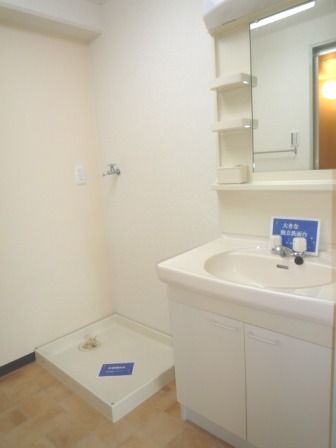 Washroom. There is a separate wash basin