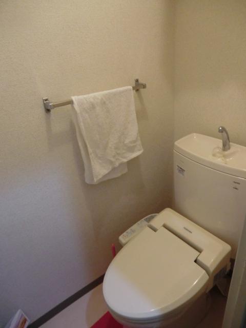 Toilet. Indoor (12 May 2013) Shooting