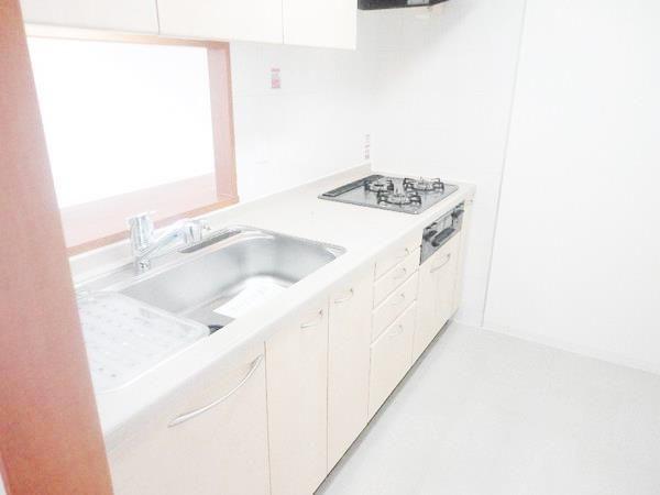 Kitchen. Popular face-to-face kitchen