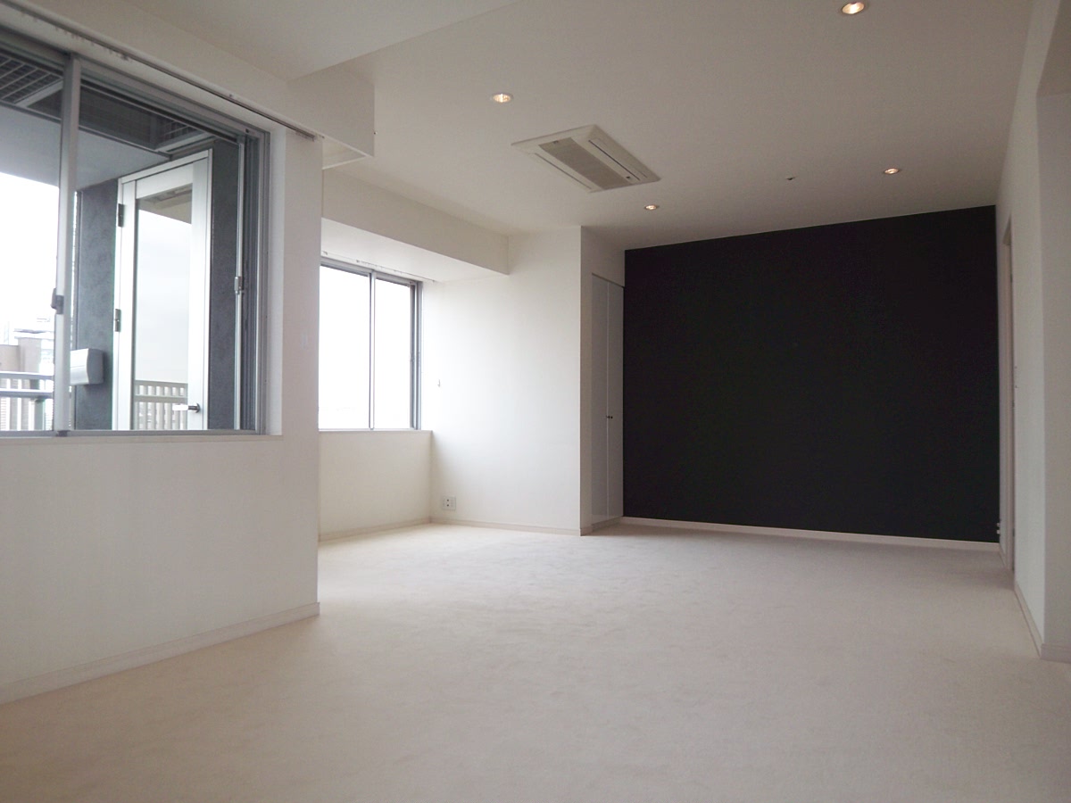 Living and room. Just north wall deep color, Sharp. Indoor down light