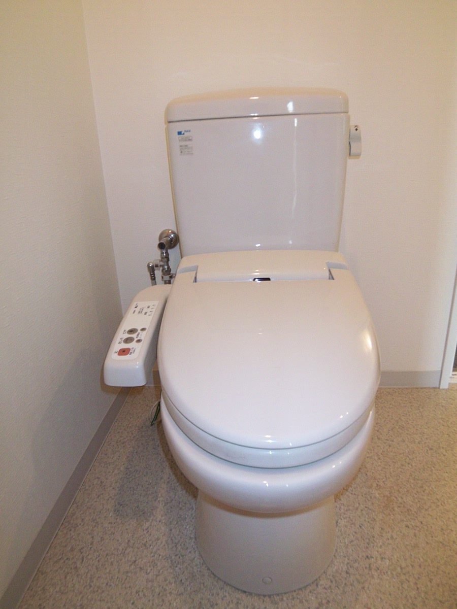 Toilet. It is natural Washlet