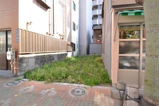 Local land photo. Local Photo 2 (from another angle)