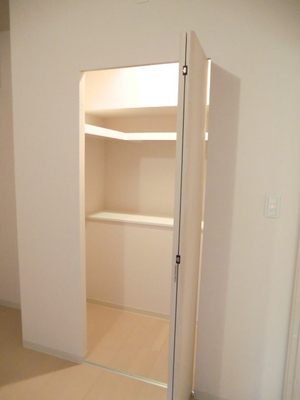 Receipt. Lot size of a walk-in closet