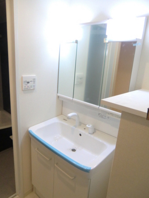 Washroom. Convenient independent wash basin also on the morning of the dressing