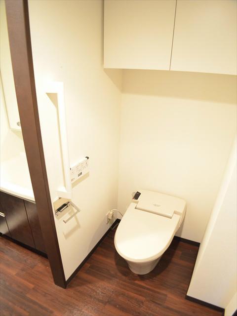 Toilet. Shower toilet