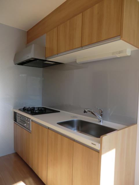 Kitchen. Indoor (11 May 2013) Shooting