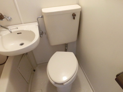 Toilet. Clean toilet