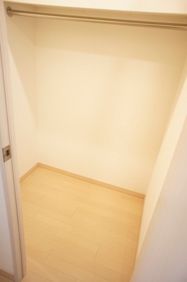 Receipt. Walk-in closet of a large capacity