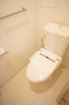 Toilet. Toilet with a bidet