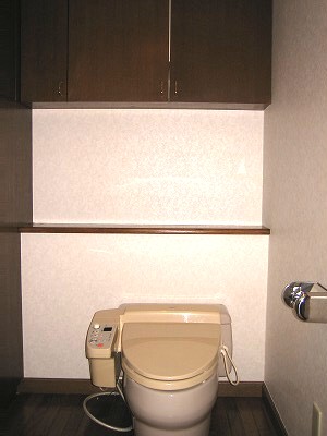 Toilet. Warm water washing toilet seat