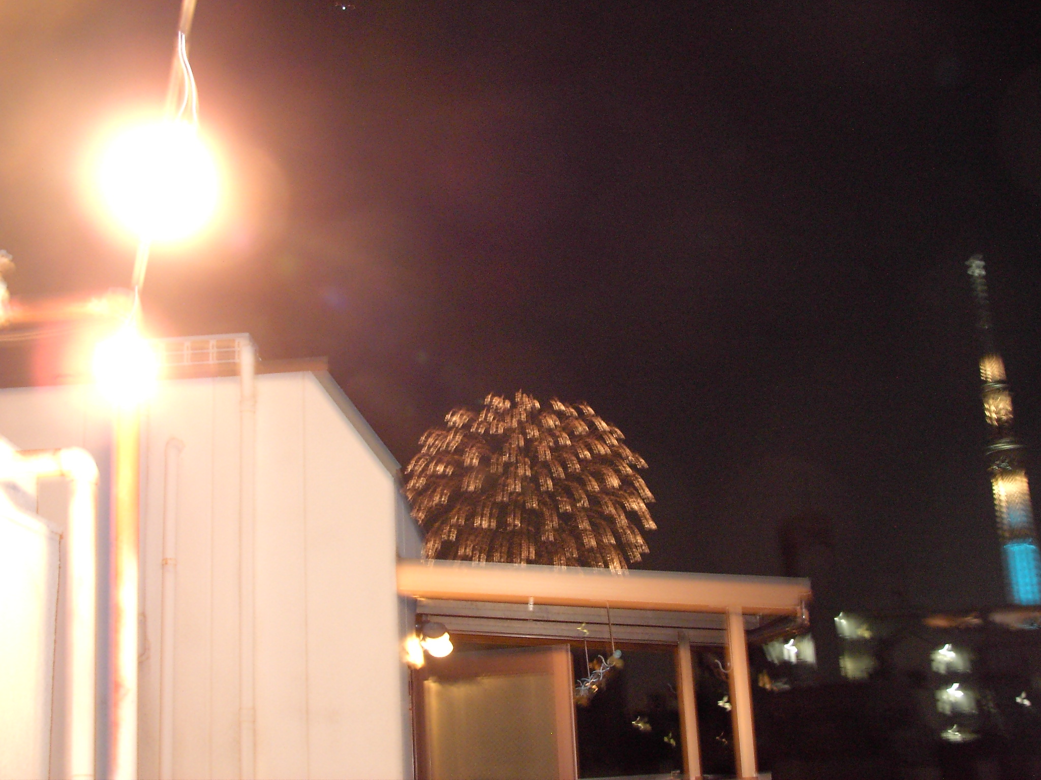 View. Sumida River Fireworks and Sky tree