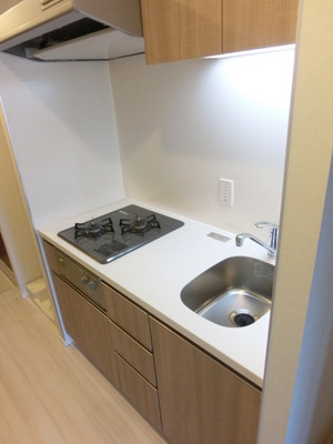 Kitchen. Easy-to-use two-necked Gasukitchin