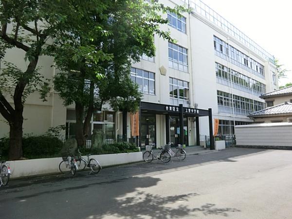 Junior high school. 500m to Ueno Junior High School