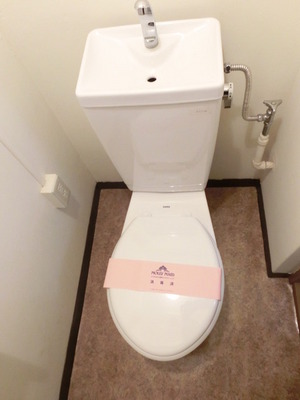 Toilet. Toilet with cleanliness