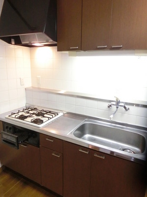 Kitchen. 3-neck gas grill with a system Kitchen