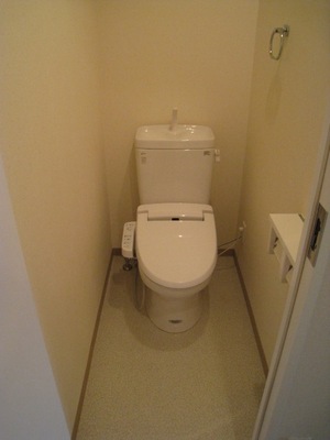 Toilet. With Washlet! 