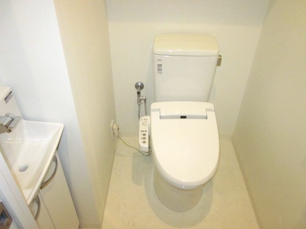 Toilet. Warm water washing toilet seat