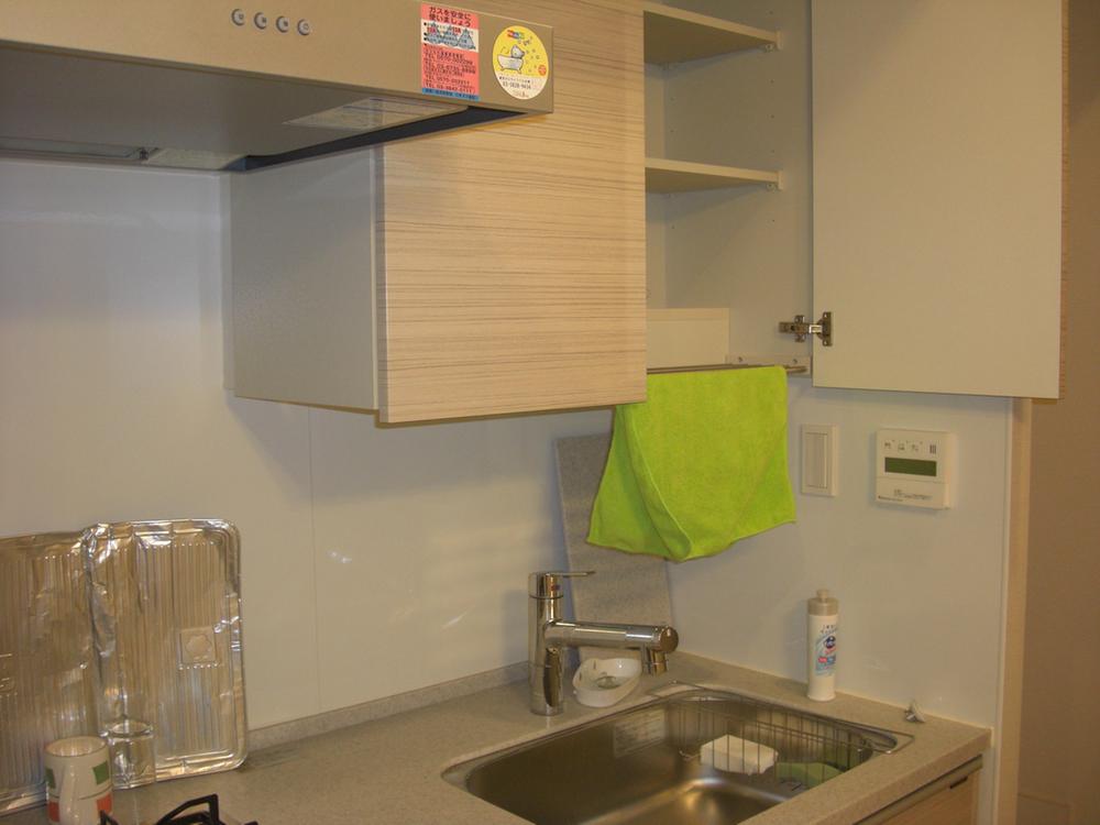 Kitchen. Indoor (11 May 2013) Shooting
