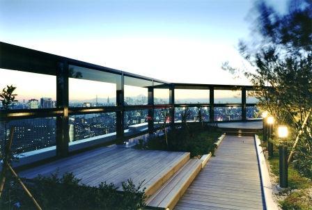 Other common areas. Rooftop garden