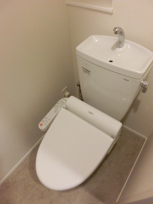 Toilet. WC happy cleaning toilet seat