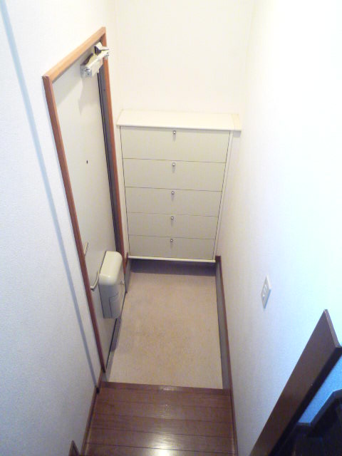 Entrance. There is a shoe box.