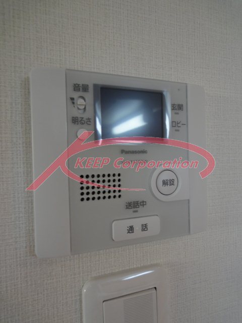 Security. TV monitor phone