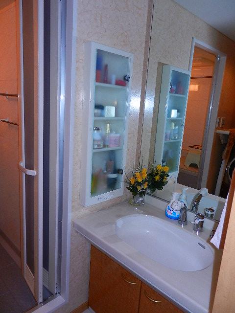 Wash basin, toilet. Indoor (12 May 2013) shooting (equipment, etc. are not included in the sale price)