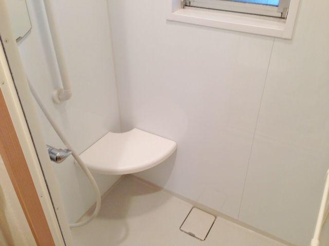 Bathroom. Shower room