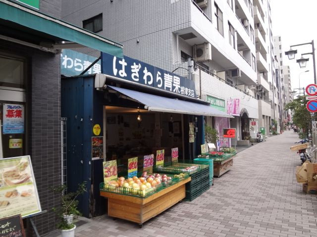 Other. Hagiwara fruit and vegetable Nezu branch (other) up to 460m