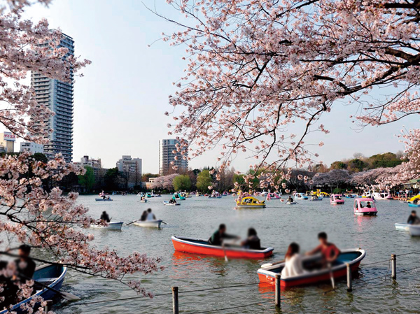 Surrounding environment. Shinobazunoike (about 130m / A 2-minute walk)